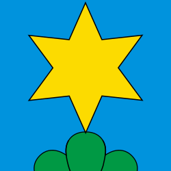 CHE Neuenegg Flag